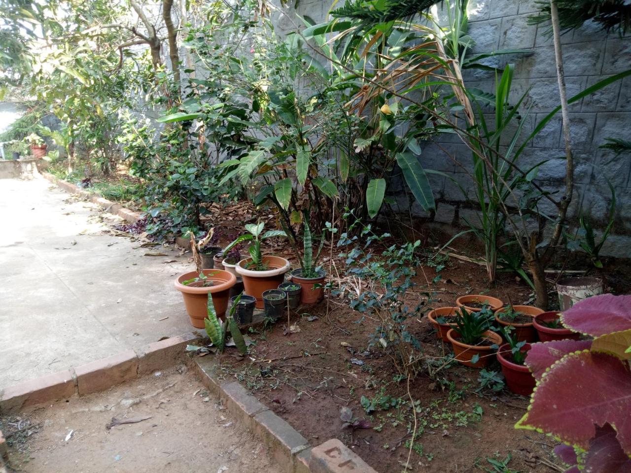 Coorg Villas マディケーリ エクステリア 写真